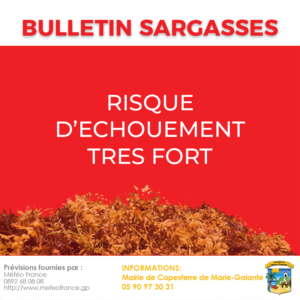 Bulletin_Sargasses_03092024
