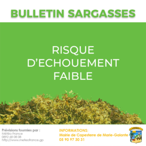 Bulletin_Sargasses_03092024_faible