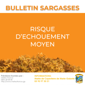 Bulletin_Sargasses_07072026_moyen
