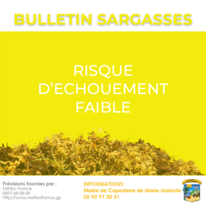 Bulletin_Sargasses_07072026_faible
